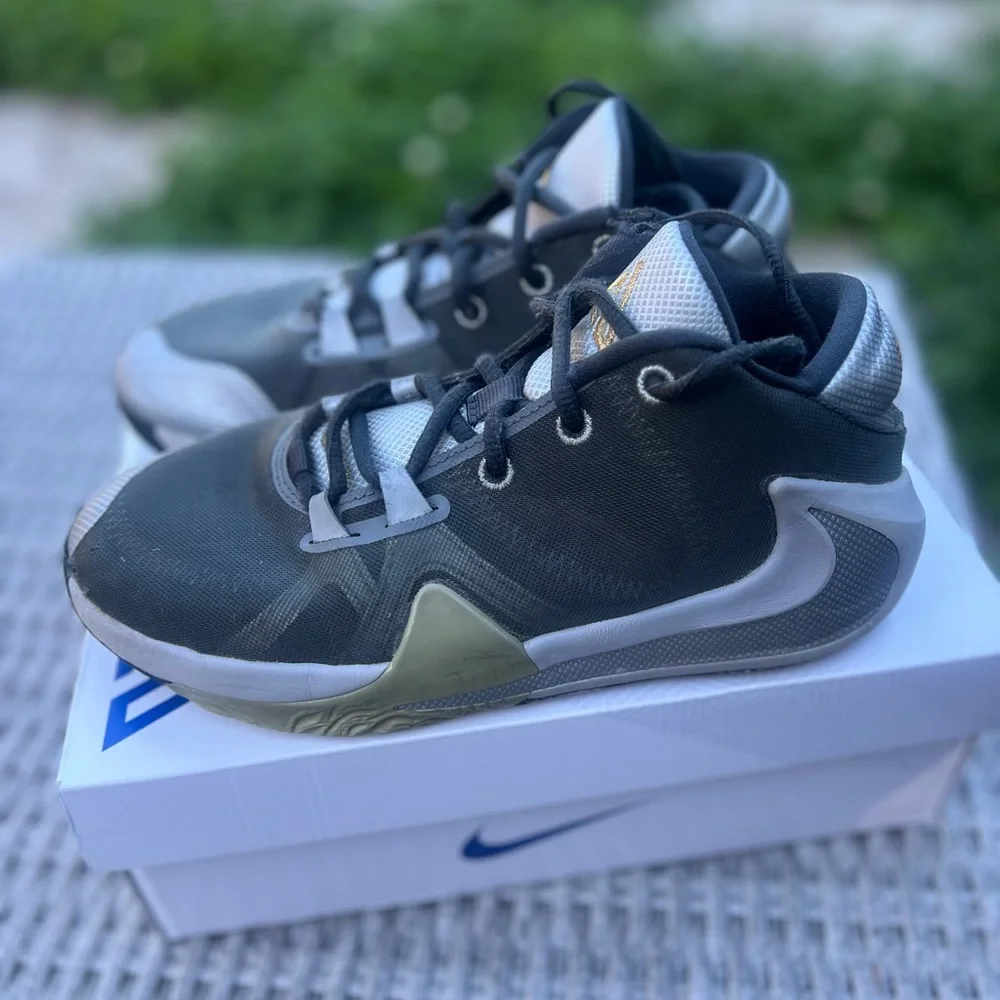 Giannis Antetokounmpo Nike Freak 1 Black/Silver Size 6